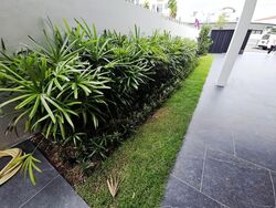 Parry Avenue (D19), Semi-Detached #558568631